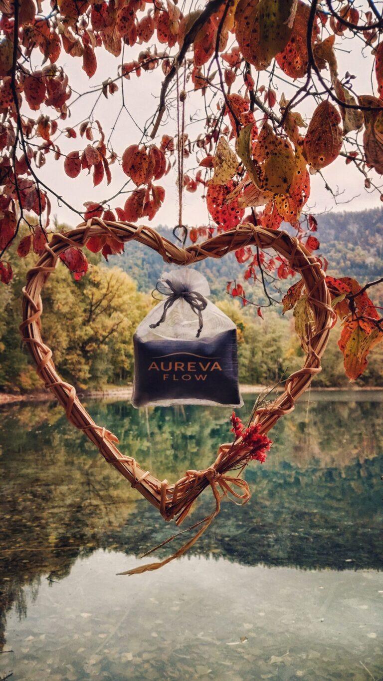 bild startseite homepage